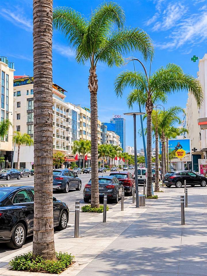 Immobilier à Racine, Casablanca