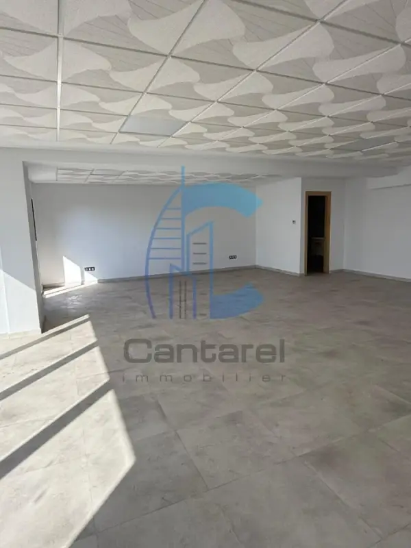 PLATEAUX BUREAUX EN LOCATION ROCHES NOIRES