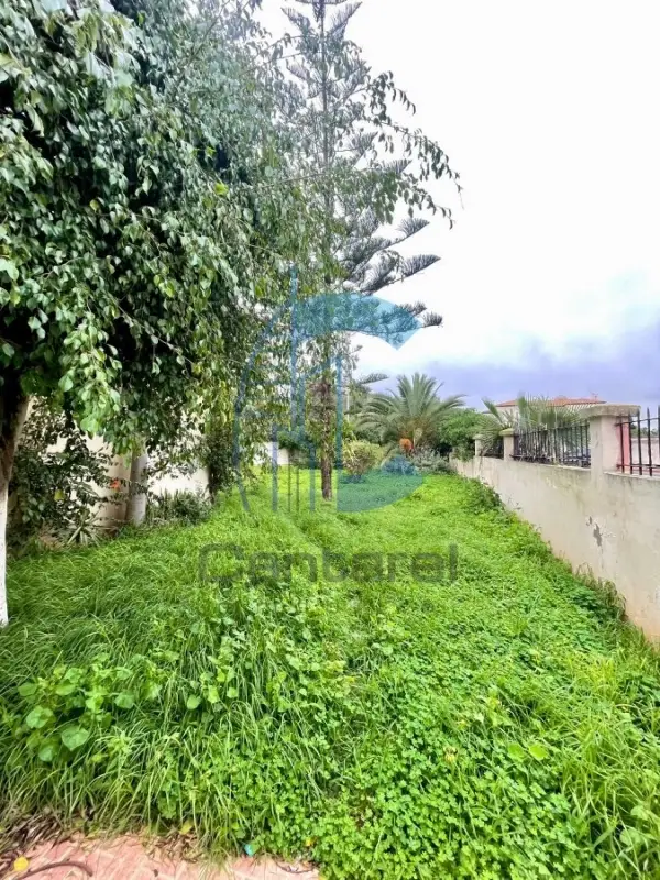 VENTE VILLA CALIFORNIE