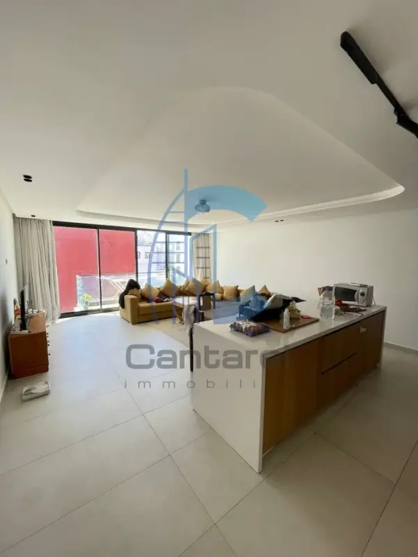 LOCATION APPARTEMENT PALMIER