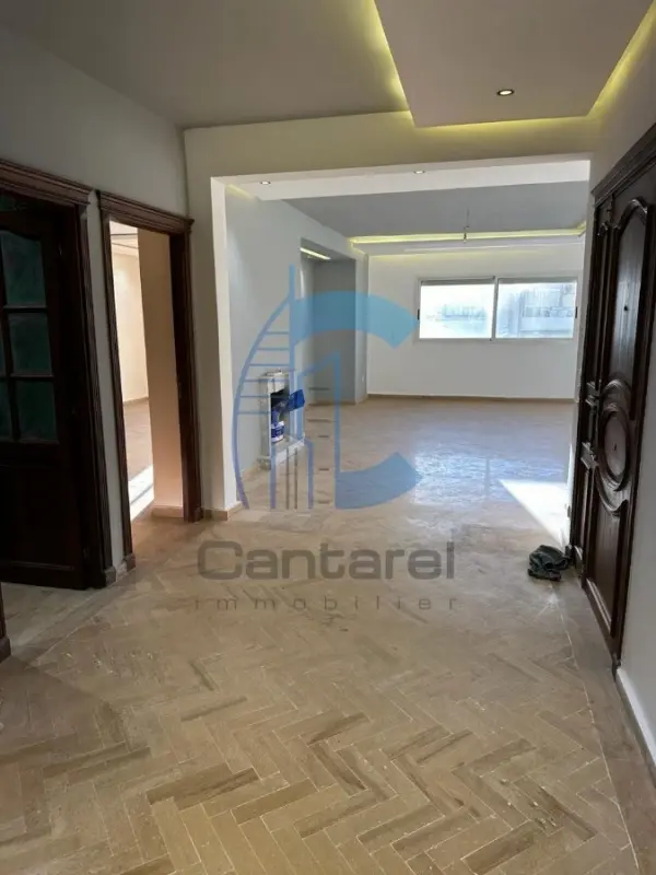 Magnifique appt vide en location -racine -