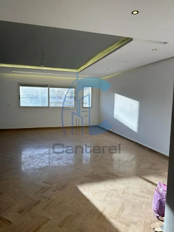 MAGNIFIQUE APPT VIDE EN LOCATION -RACINE -