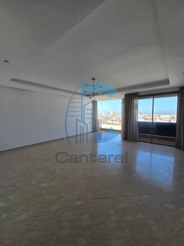 VENTE APPARTEMENT RACINE