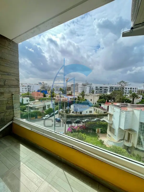 location appartement palmier