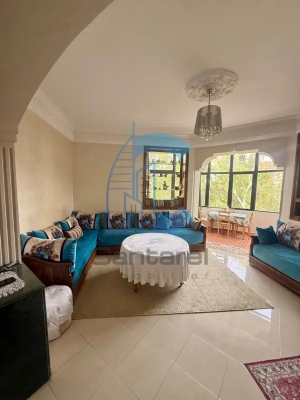 VENTE HARMONIEUX APPARTEMENT BELVÉDÈRE