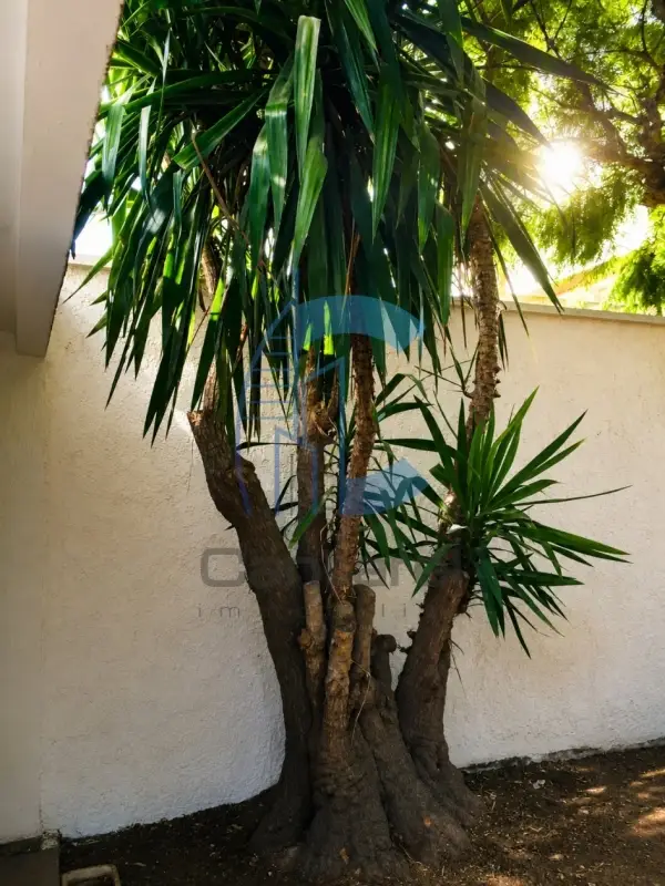 VILLA VIDE EN LOCATION -RIVIERA-