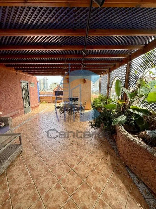 À LOUER - APPARTEMENT AVEC GRANDE TERRASSE RACINE