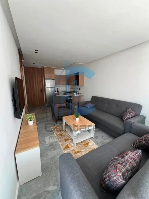 À LOUER STUDIO MEUBLÈ QUARTIER DES HOPITAUX